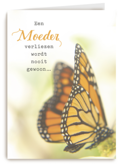 een moeder verliezen wordt nooit gewoon