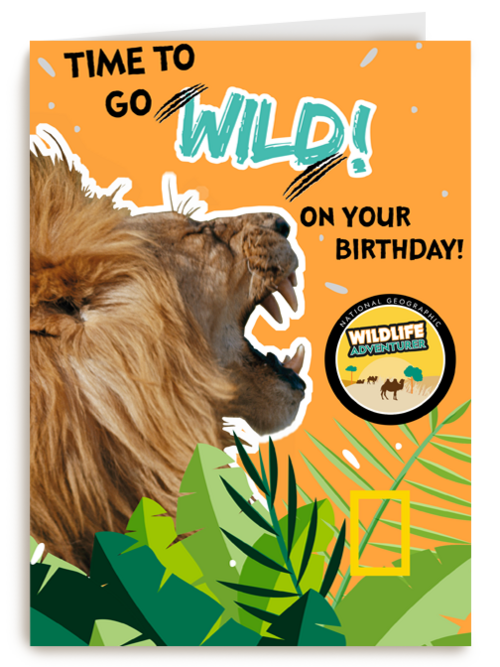verjaardag kaart time to go wild