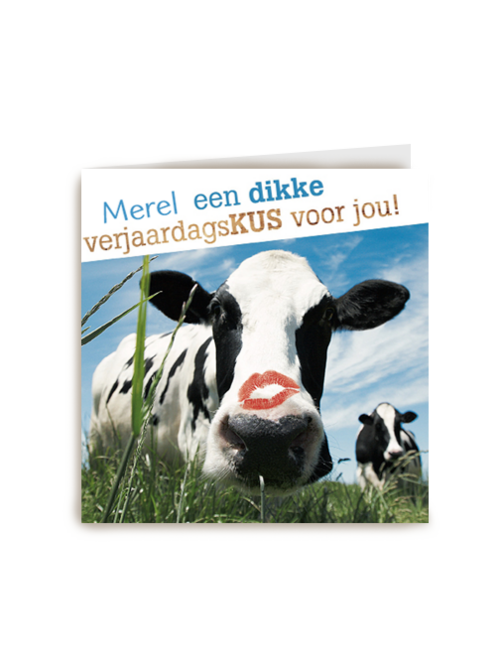 dikke verjaardagskus van een koe