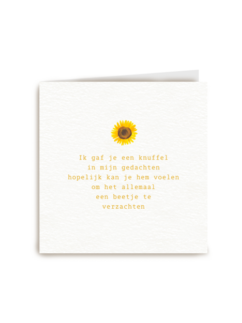 Ik gaf je een knuffel in mijn gedachten