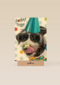 hoera feest hond met zonnebril