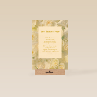 prachtige witte rozen om het samen zijn te vieren