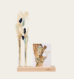 Brievenbuspakket Droogbloemen Baby Boy Blauw