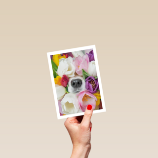 Fleurige hond