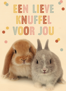 konijntjes een lieve knuffel voor jou