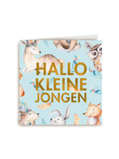 hallo lieve kleine jongen