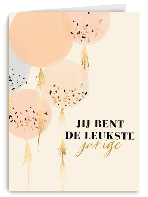 verjaardag kaart stijlvol jij bent de leukste jarige
