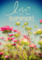 love the summer