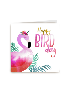 happy bird day van een pelikaan