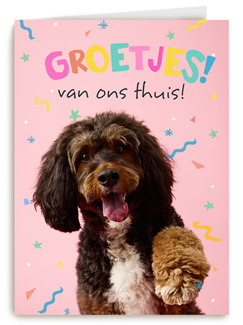Op Kamp groetjes van thuis hond roze