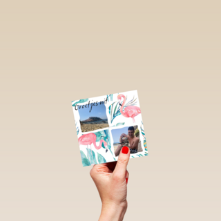 fotokaart groetjes uit flamingos