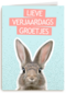 een konijntje voor je verjaardag
