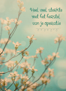 sterkte met het herstel