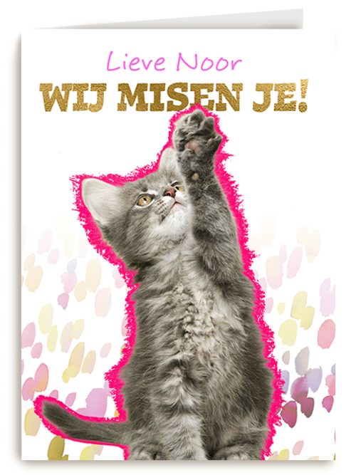 Lieve we missen je kat Op Kamp