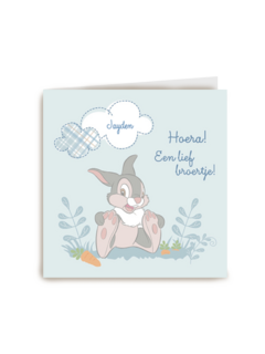 disney baby hoera een lief broertje