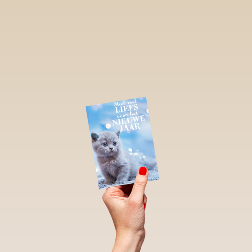 veel liefs voor het nieuwe jaar met deze kitten