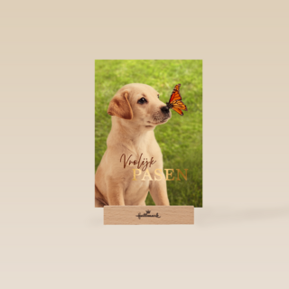 Pasen vrolijk hond vlinder