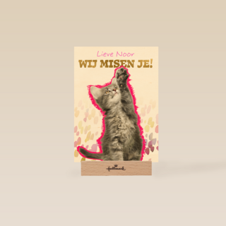 Lieve we missen je kat Op Kamp