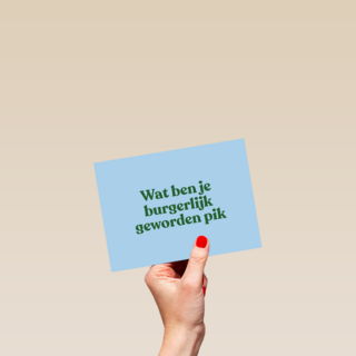 And C wat ben je burgerlijk geworden pik