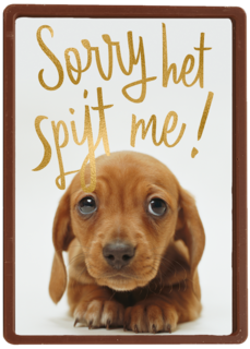 verjaardag te laat sorry het spijt me puppy