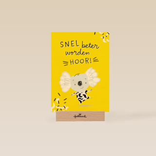 Snel beter worden koala