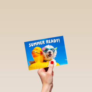 Summer ready dog