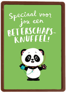 beterschapsknuffel van een panda