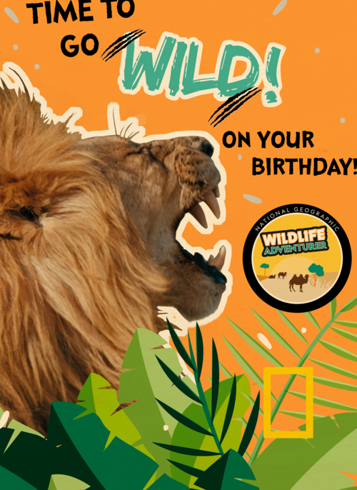 verjaardag kaart time to go wild