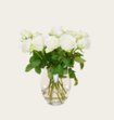 Brievenbusbloemen Rozen Wit