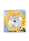 fotokaart bedankt met zonnebloem