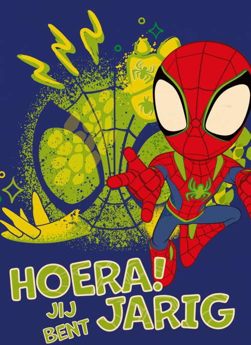 Spidey and friends Hoera