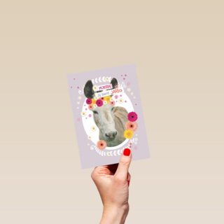prodo dieren ezel jij bent jarig