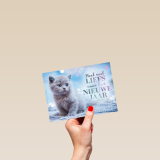 nieuwjaar kaart kat heel veel liefs voor het nieuwe jaar