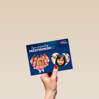 Feestvarken K3 de 3 biggetjes