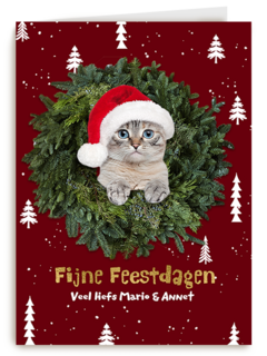 Kat in de boom fijne kerst