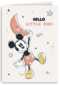 Disney geboortefelicitatie hello little one