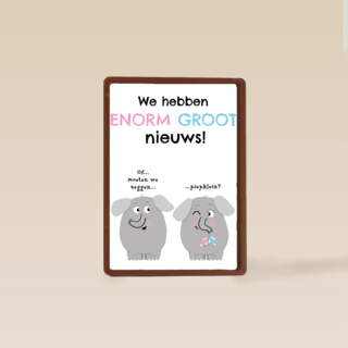 zwangerschap we hebben enorm groot nieuws