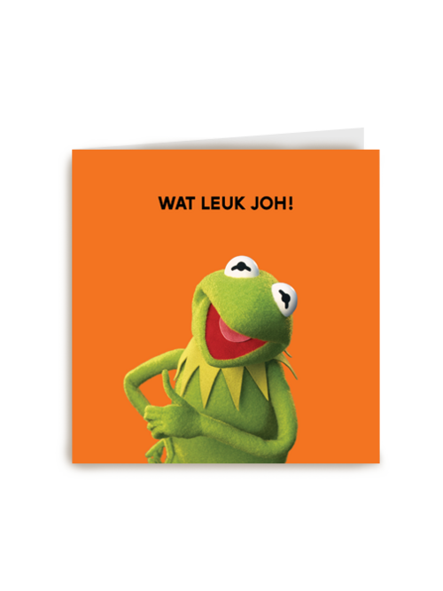 Wat leuk joh The Muppets