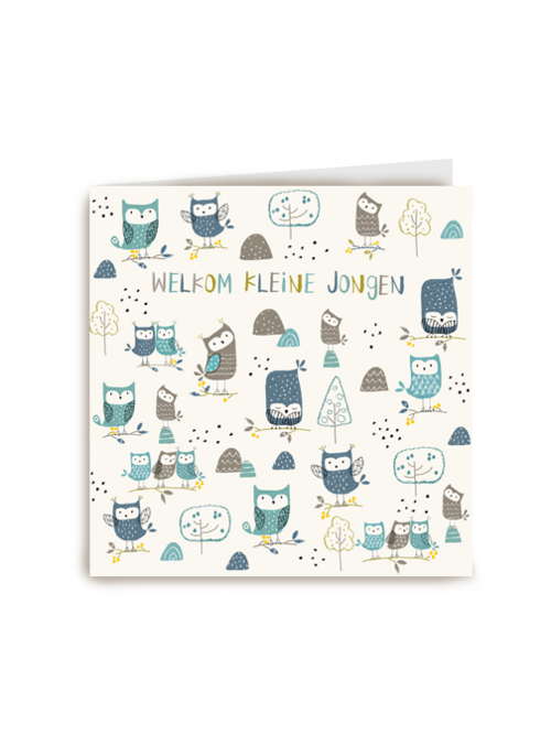 geboorte felicitatie jongen uiltjes