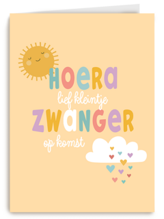 Zwangerschap Lieve Kleintje Op Komst
