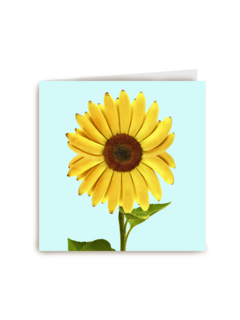 bananezonnebloem