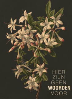 hier zijn geen woorden voor bloemen