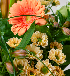 Boeket Bloemen Bright Blossom