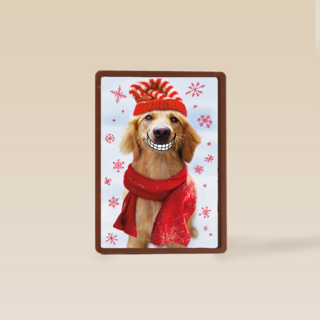 Big smile dog christmas