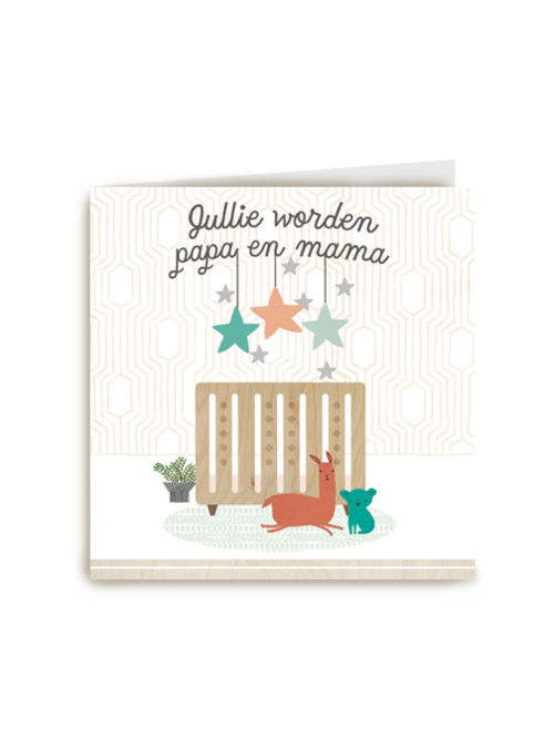 zwanger jullie worden papa en mama