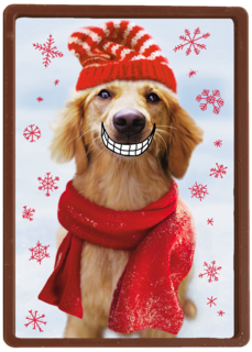 Big smile dog christmas