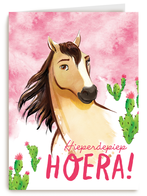verjaardag kaart spirit hieperdepiep hoera