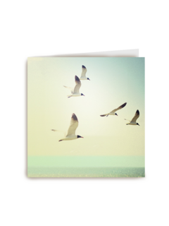 vogels aan het strand