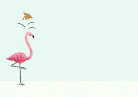 Flamingo geslaagd
