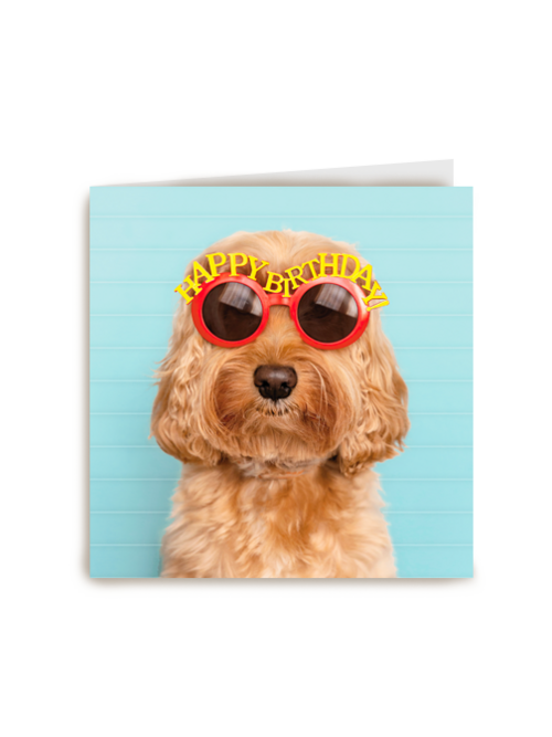 Verjaardagskaart hond met zonnebril